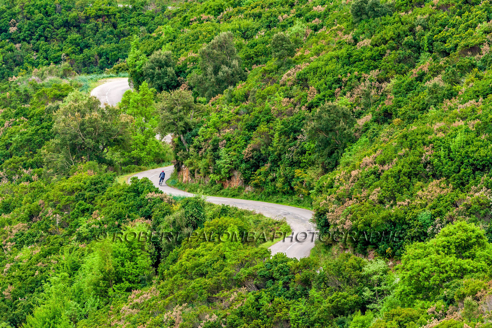 Bikingman Corsica 2019