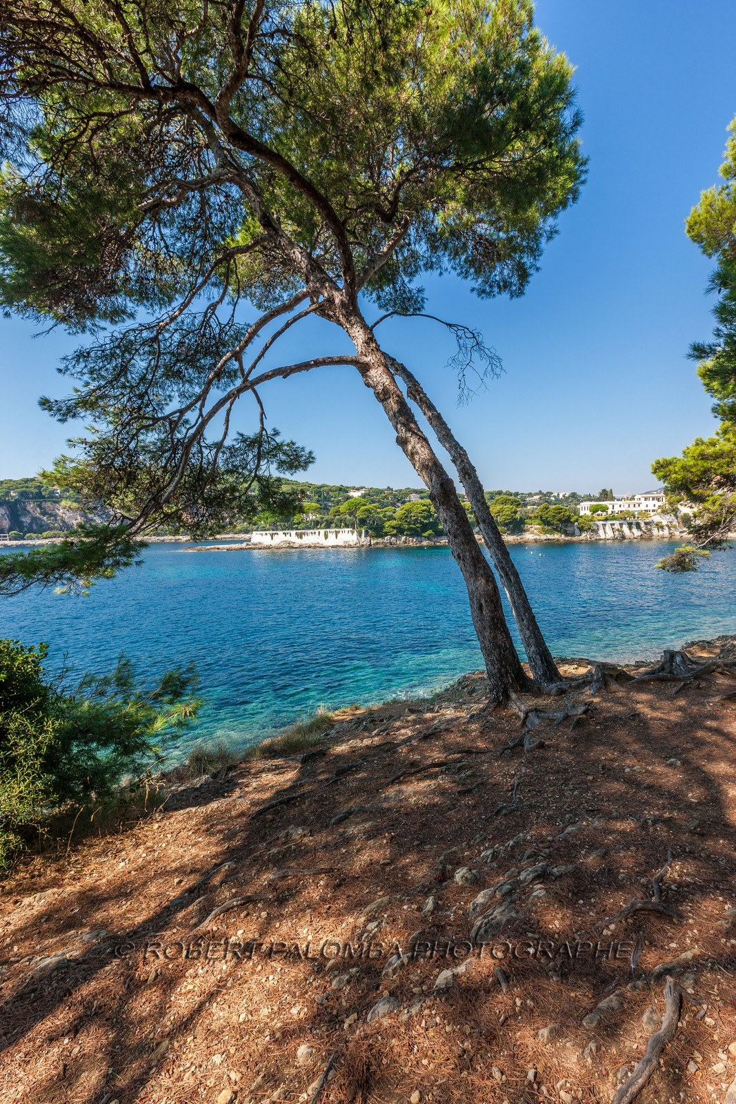 Saint-Jean-Cap-Ferrat