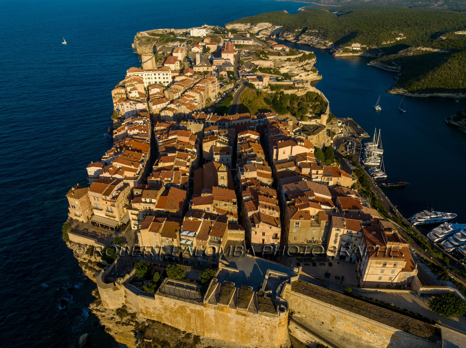 Bonifacio