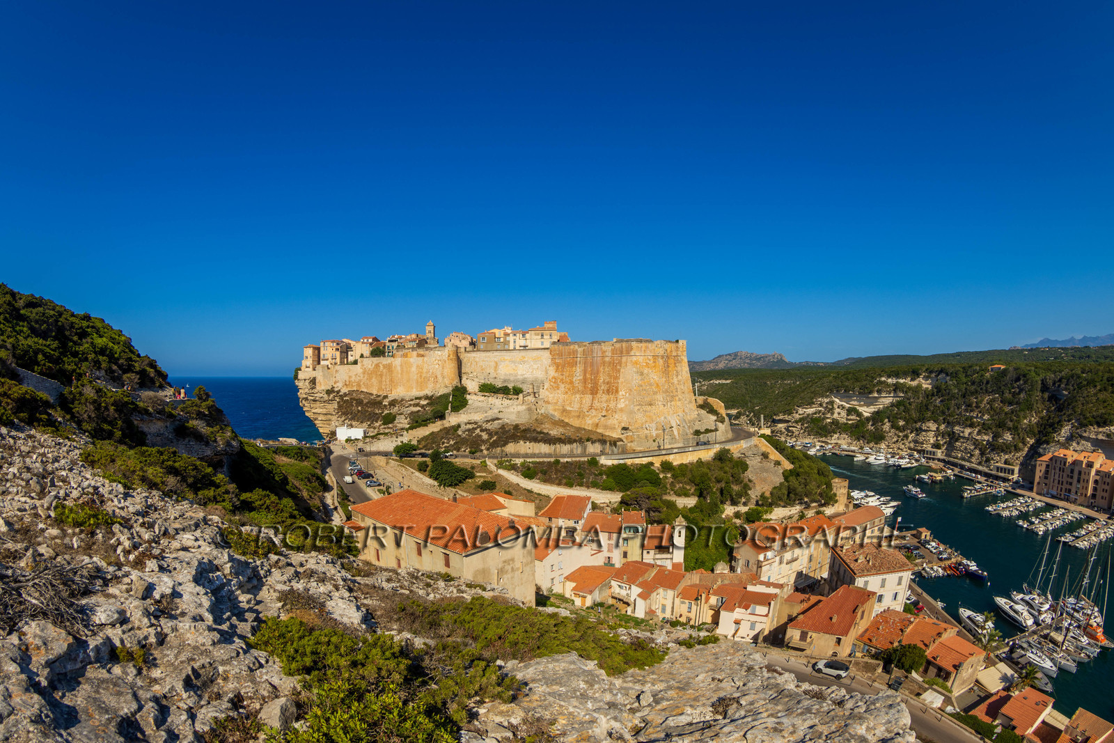 Bonifacio
