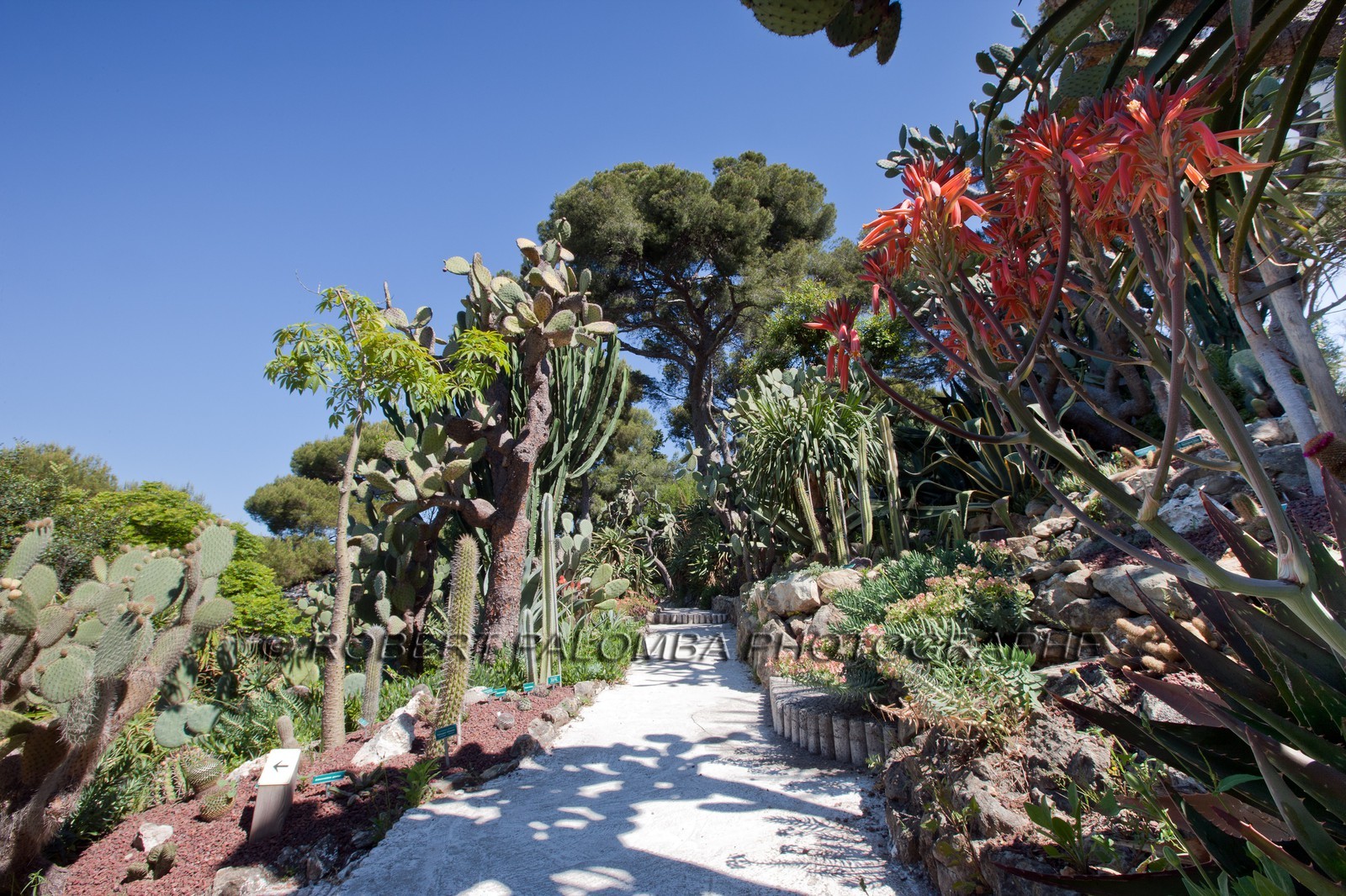 Villa et Jardins Ephrussi de Rothschild