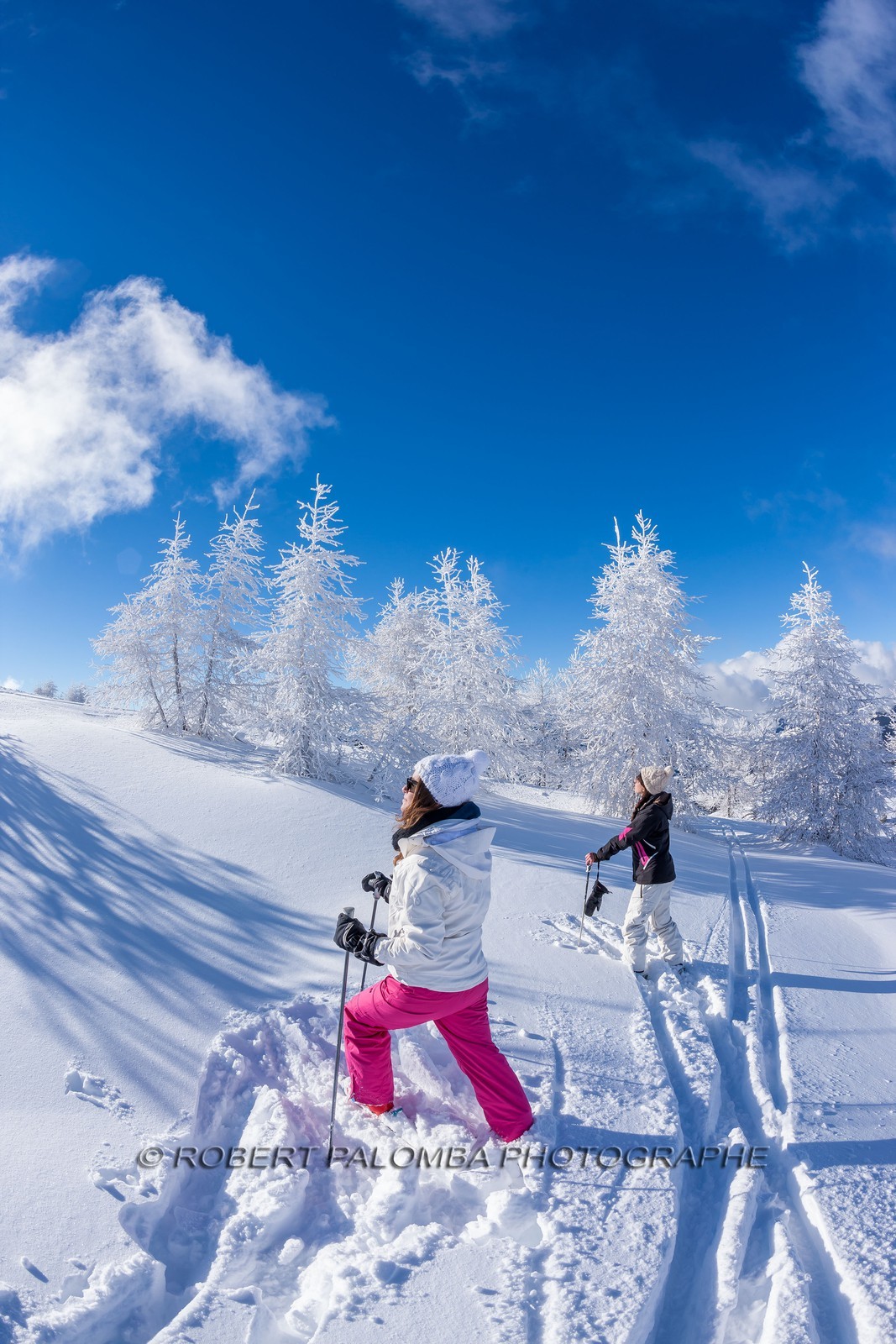 Ski