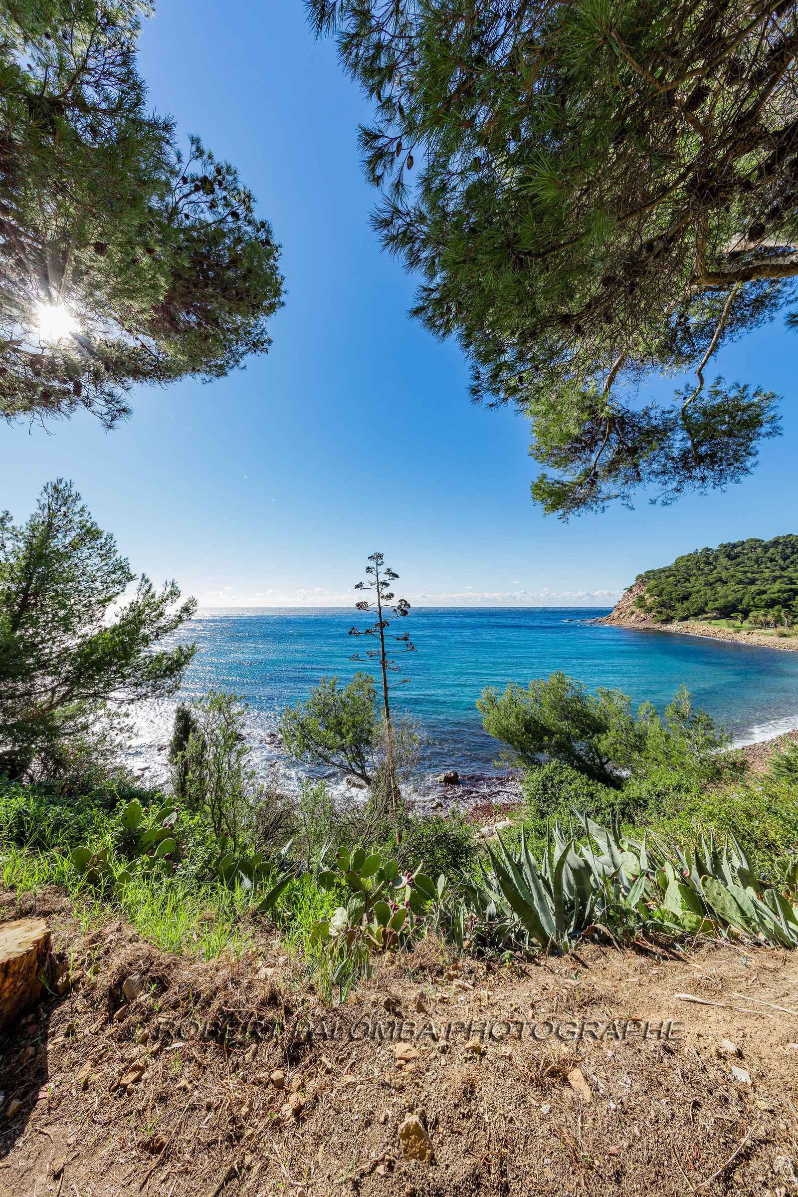 Saint-Mandrier-sur-Mer