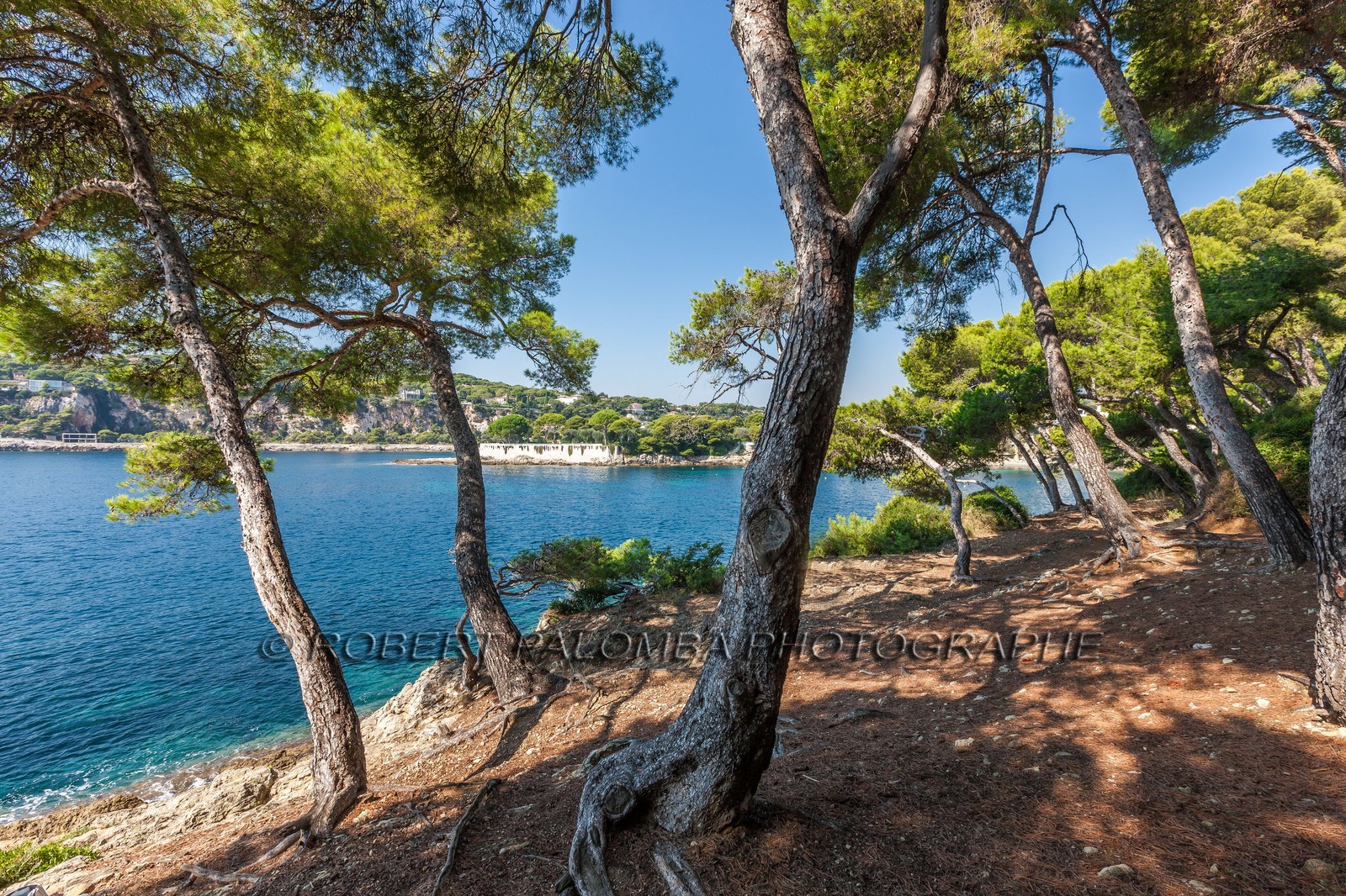 Saint-Jean-Cap-Ferrat