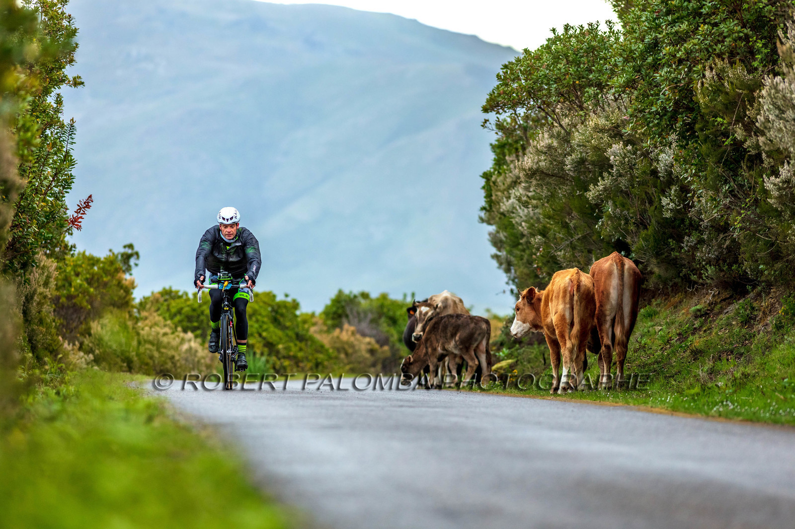 Bikingman Corsica 2019