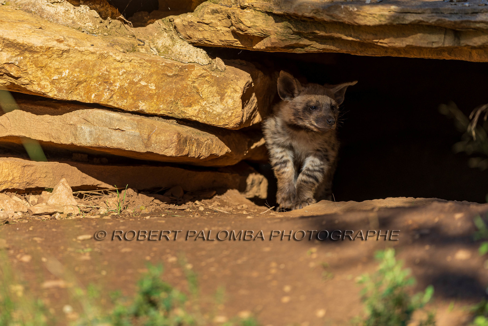 Parc animalier de la Barben