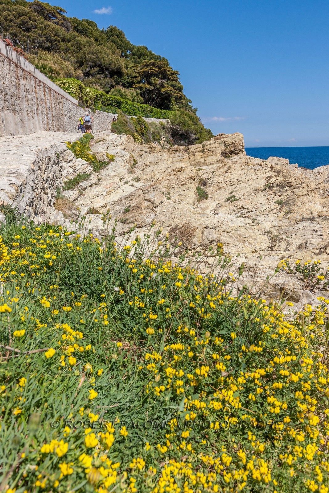 .Saint-Jean-Cap-Ferrat