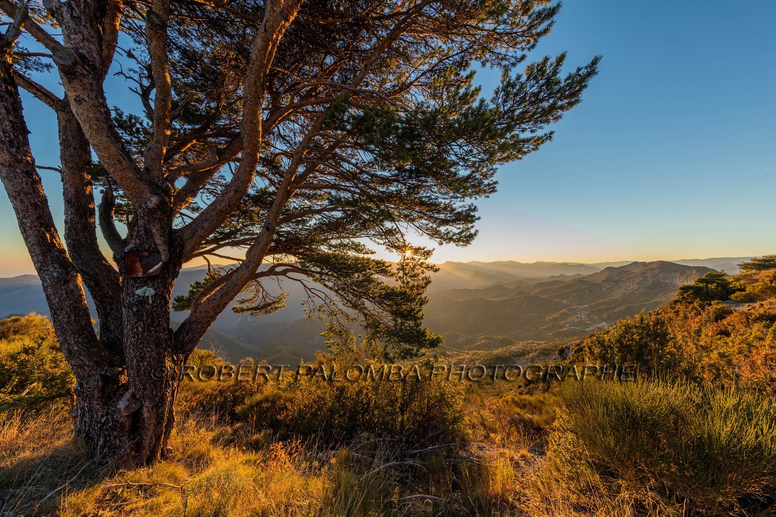 Toudon vu du Mont Vial