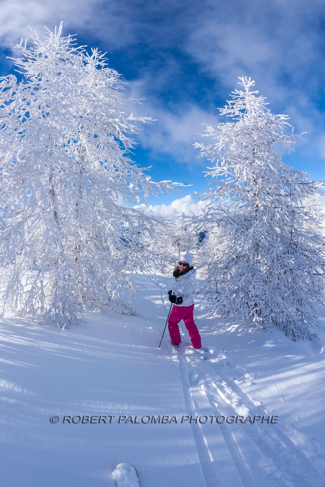 Ski